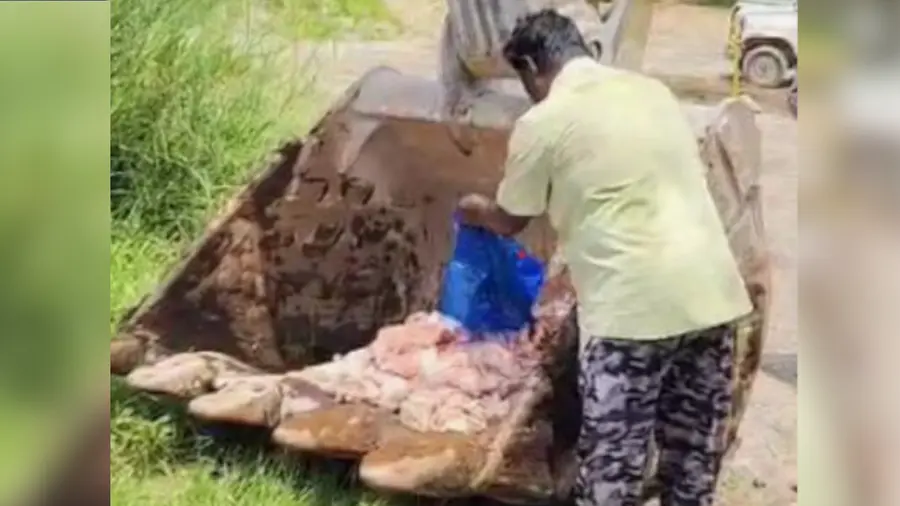 old meat seized kollam