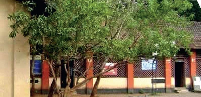 ols building