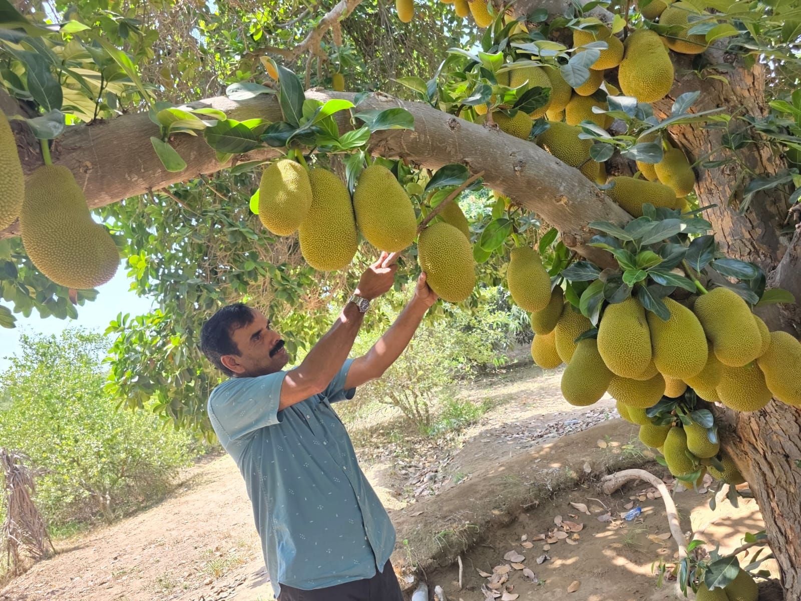 oman