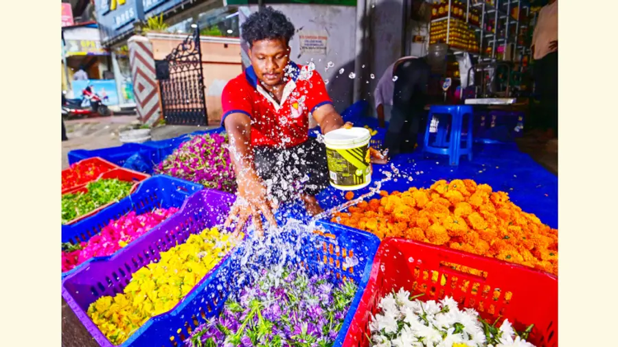 onam.jpg