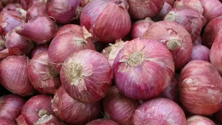 onion