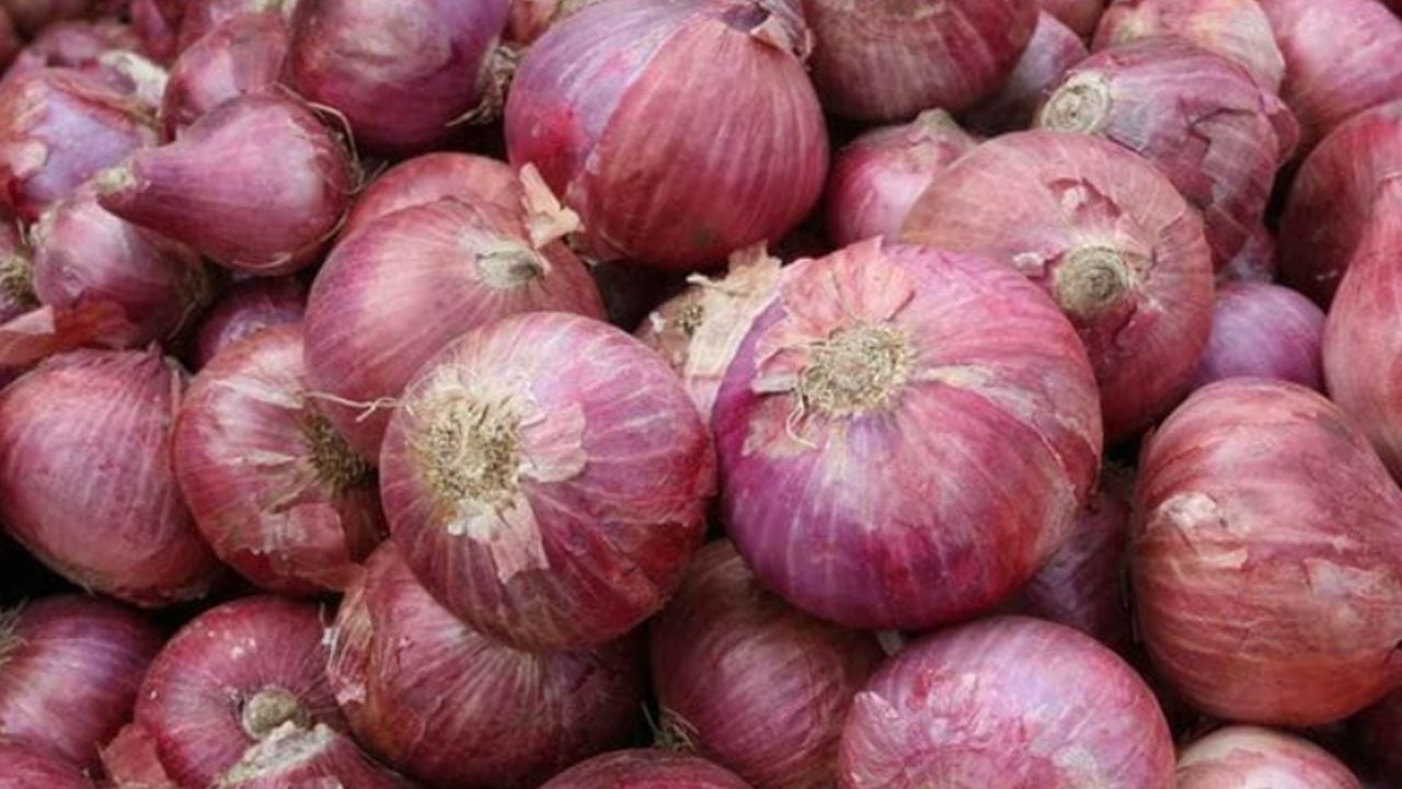 onion