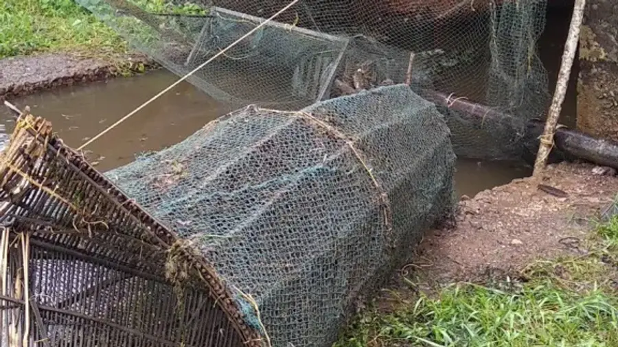 Fisheries Department