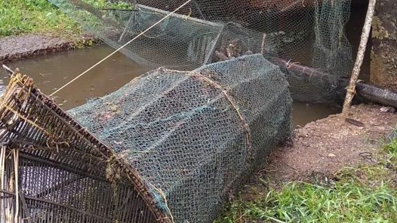 Fisheries Department