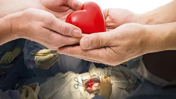 organ donation