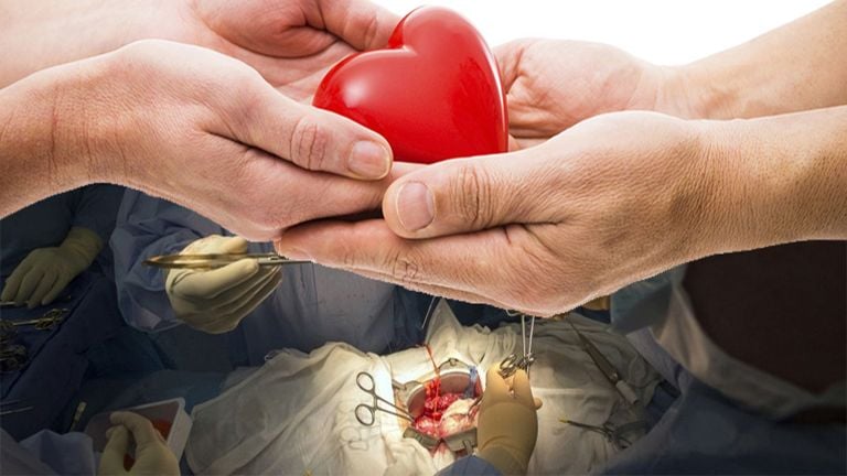 organ donation