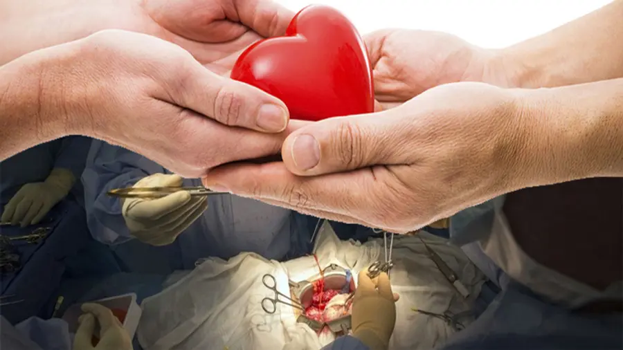 organ donation registration