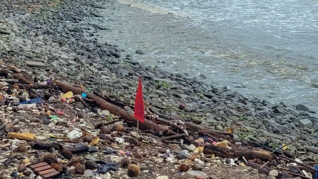 fortkochi