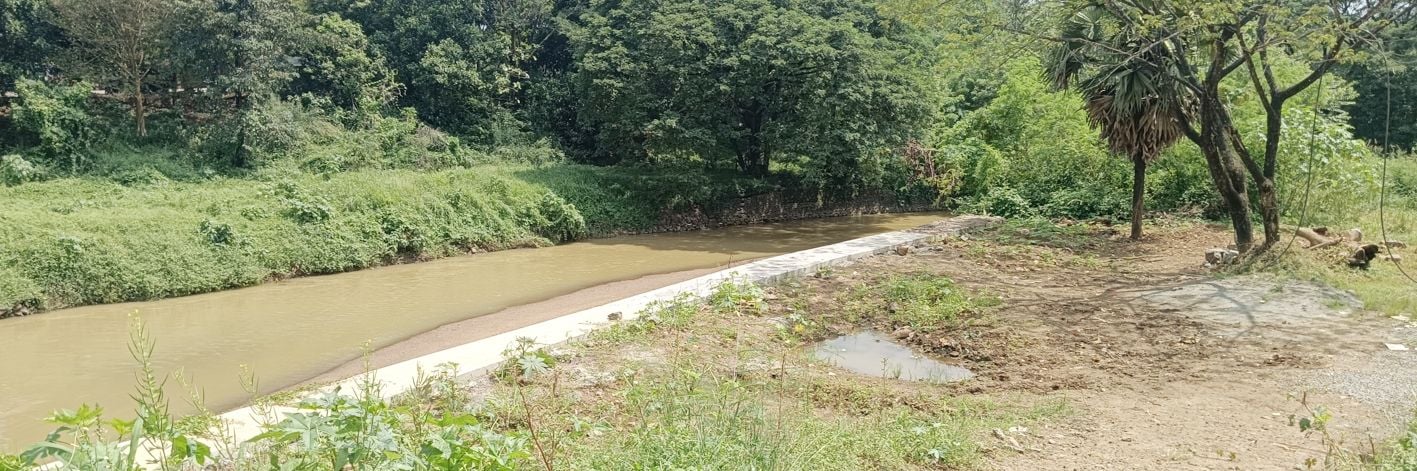ഒറ്റപ്പാലം കിഴക്കേത്തോടിന് സമീപം പുഴയോര പാർക്കിനായി കണ്ടെത്തിയ സ്ഥലം