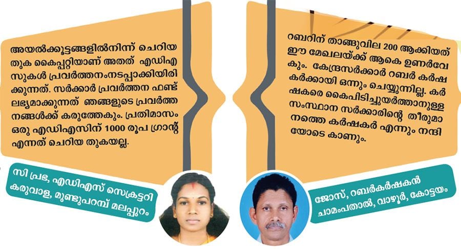Ldf Government