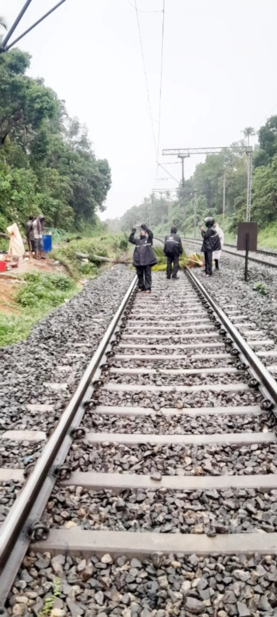 നാദാപുരം റോഡില്‍ റെയില്‍വേ ട്രാക്കില്‍ തെങ്ങ് വീണപ്പോൾ