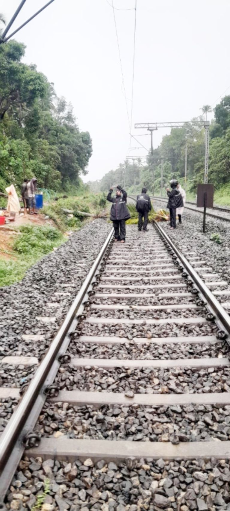 നാദാപുരം റോഡില്‍ റെയില്‍വേ ട്രാക്കില്‍ തെങ്ങ് വീണപ്പോൾ