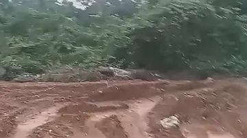 Paddy fields are being reclaimed illegally.