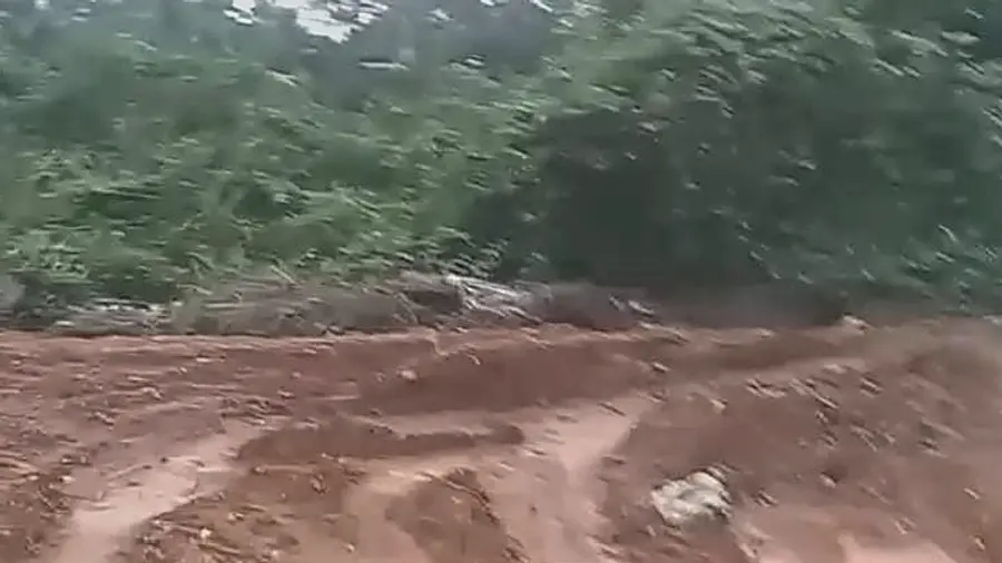 Paddy fields are being reclaimed illegally.