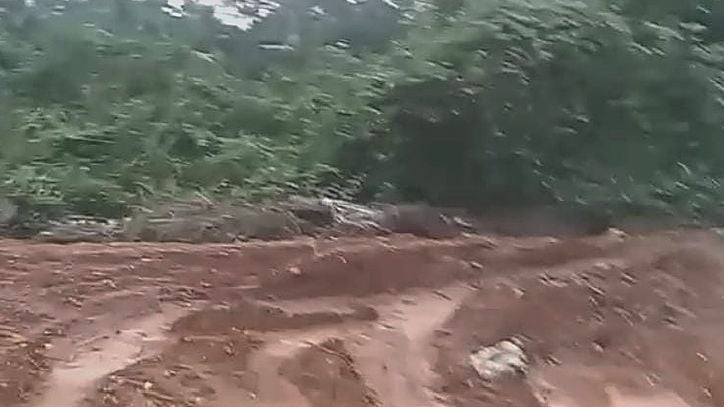 Paddy fields are being reclaimed illegally.