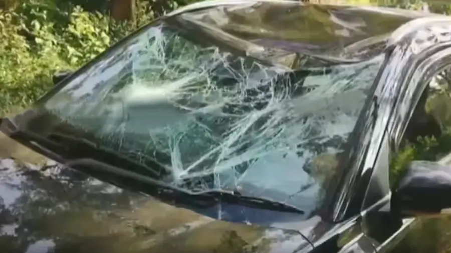 padayappa attack