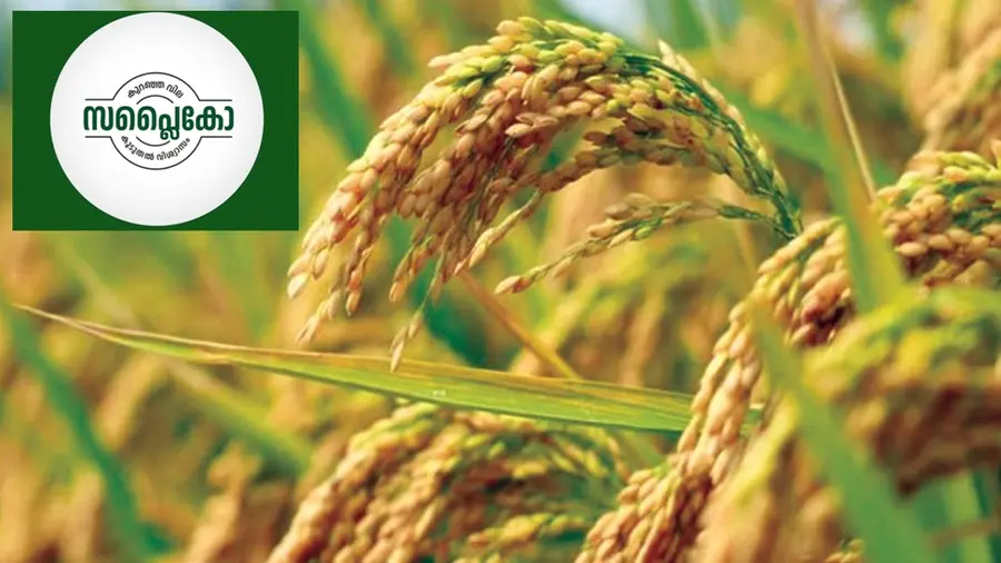 paddy supplyco