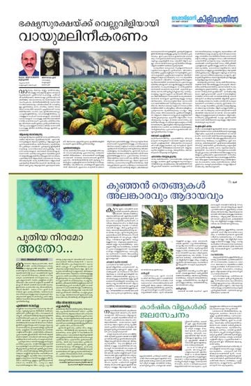 Supplement Epaper കിളിവാതിൽ on 2025-05-11