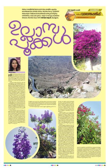 Epaper - undefined on 2025-06-14