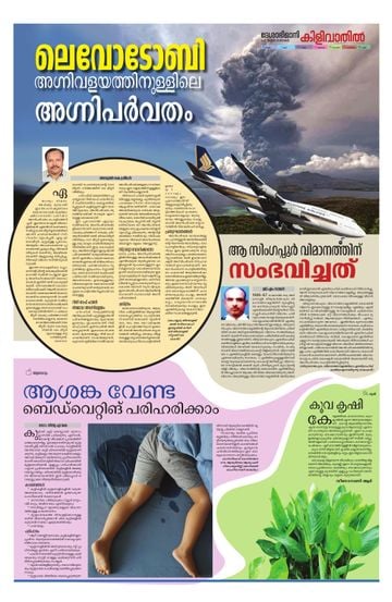 Epaper - undefined on 2025-06-29