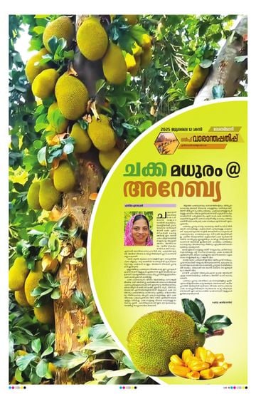 Epaper - undefined on 2025-07-12