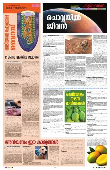 Epaper - undefined on 2025-09-27