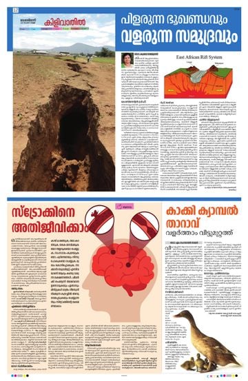 Epaper - undefined on 2025-11-07