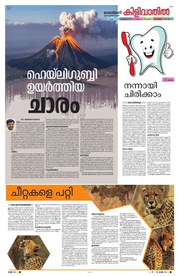 Supplement Epaper അക്ഷരമുറ്റം on 2025-11-29