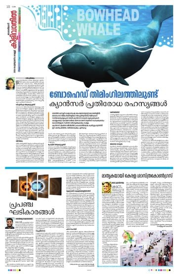 Epaper - undefined on 2026-02-06