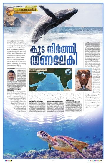 Epaper Gulf on 2026-06-20