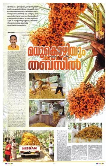 Epaper - undefined on 2026-07-25