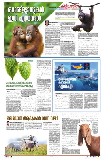 Supplement Epaper കിളിവാതിൽ on 2026-09-25