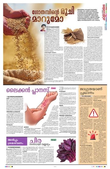 Supplement Epaper കിളിവാതിൽ on 2026-10-23
