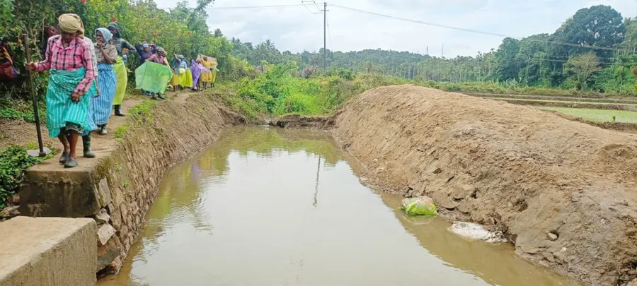 വരൾച്ച 