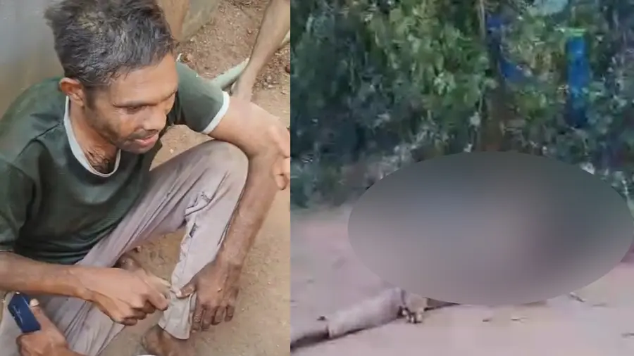 palakkad mob attack