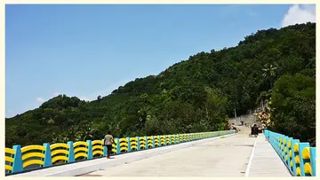 കുമ്പിച്ചൽക്കടവ് പാലം