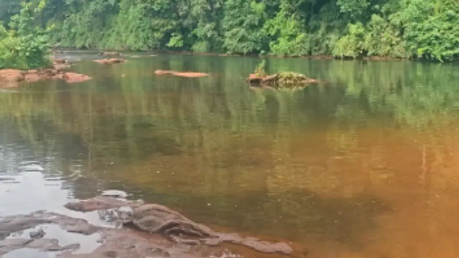 palavanpady canal