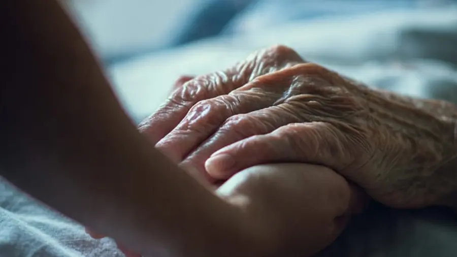 palliative care