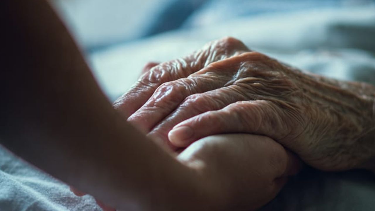 palliative care