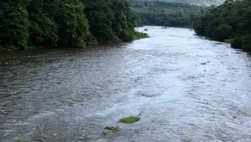 pamba river