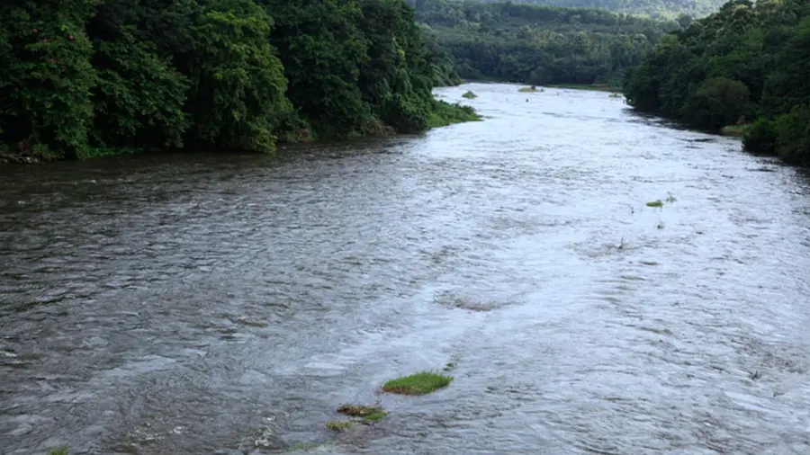pamba river
