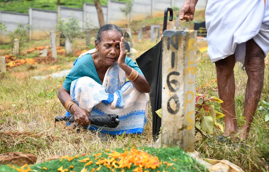 പാപ്പാത്തി