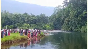 വടാട്ടുപാറ പലവൻപടിപുഴയിൽ മുങ്ങിമരിച്ച വിദ്യാർഥികൾക്കായി തിരച്ചിൽ  നടത്തുന്നു
