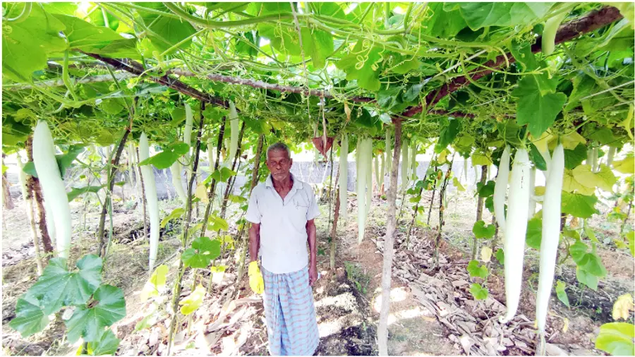 പരമേശ്വരൻപിള്ള കൃഷിയിടത്തിൽ