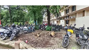 collectorate parking