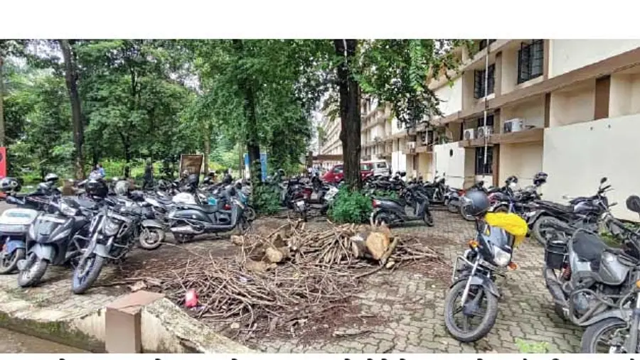 collectorate parking