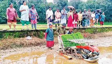 When the trial run of planting of paddy rice sprouted using the paddy rice cultivation method was started in the floating machine under the leadership of Senior Agriculture Officer T.T. Arun of Arunoottimangalam Farm