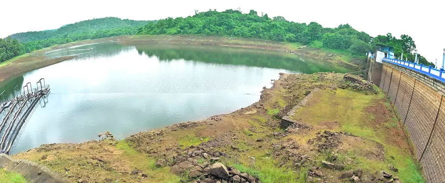  വറ്റിവരണ്ട പീച്ചി ഡാം                                                                                                                                                                                                                   ഫോട്ടോ/  സുരേന്ദ്രൻ മടിക്കൈ