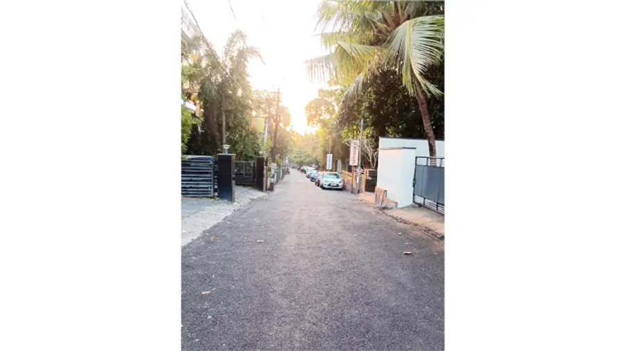 പെരുന്തറ ഉന്നതിയിലെ റോഡുകൾ