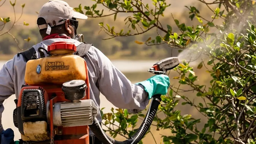 pest control